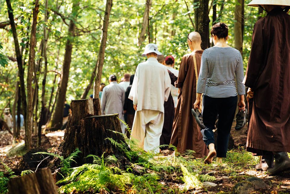 image of people walking in the forest. There are palms in the foreground and green forest leaves in the distance. 