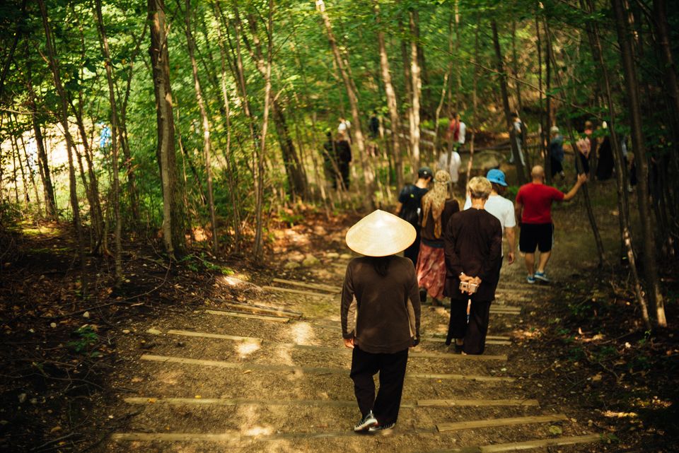 Image of people walking through the forest together.