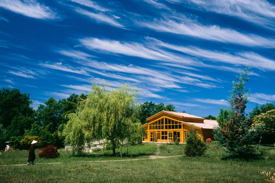 Image of a monastic walking along a path in a field towards a dharma hall amidst trees