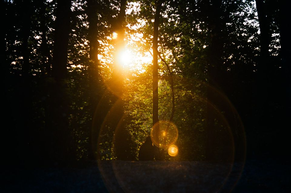 Photo of a person sitting and leaning against a tree in the first with sunlight streaming towards the camera.