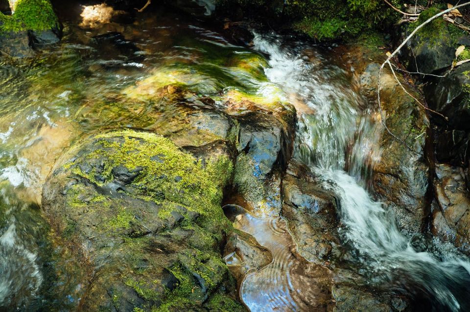 Image of water in a creek bed flowing around some mossy rocks. There is some still water pooling at the centre of the image.